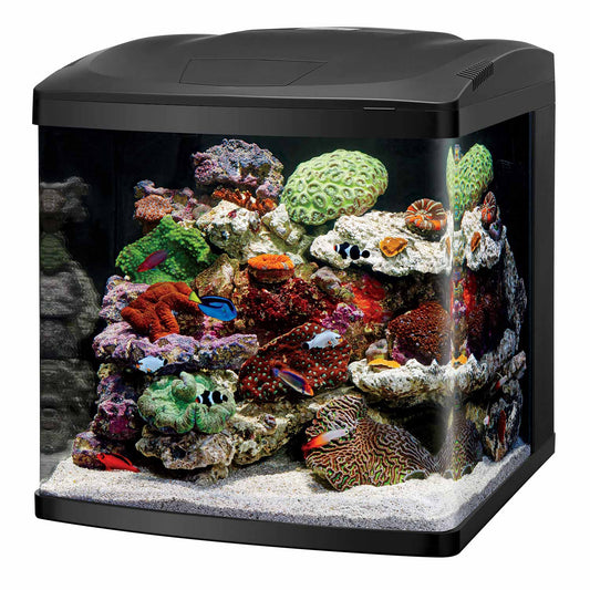Coralife LED BioCube 32 Aquarium Kit